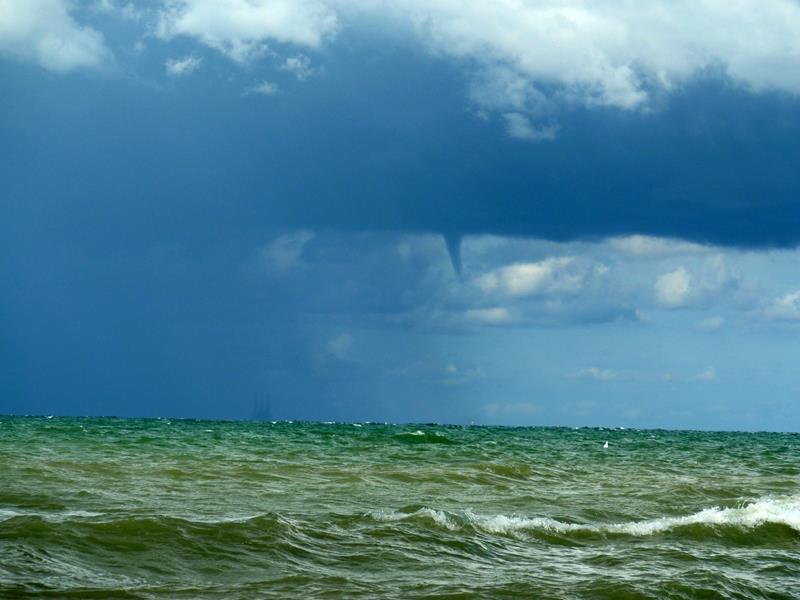 Tromba marina