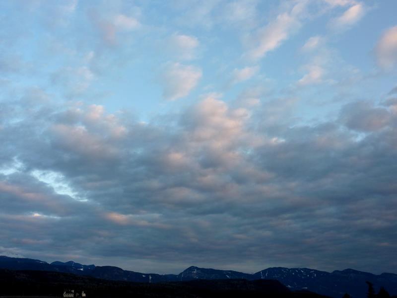 Altocumulus_stratiformis