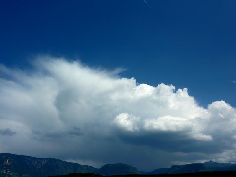 Cumulonimbus_capillatus