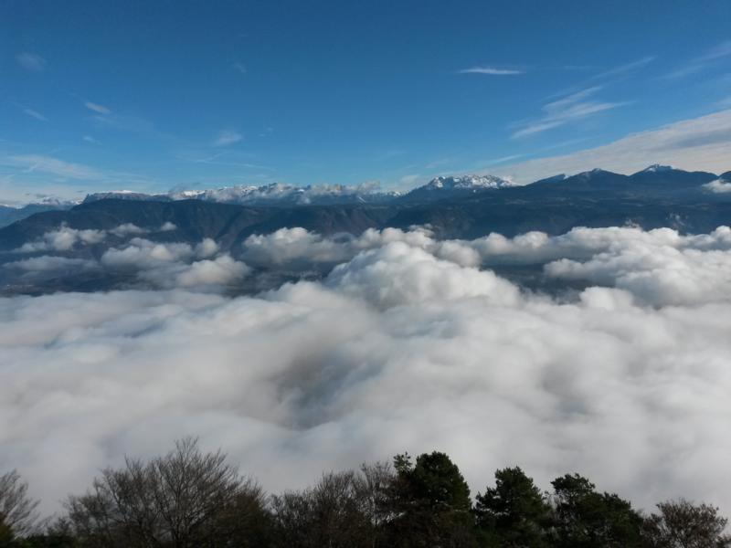 Stratocumulus stratomutatus